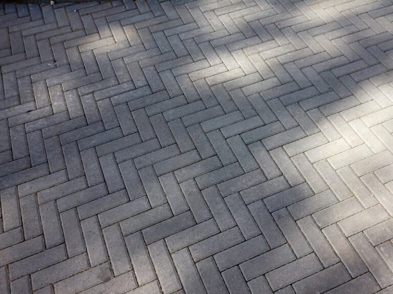 изображение_viber_2026-02-17_10-02-53-937